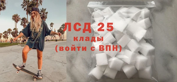 стаф Абинск