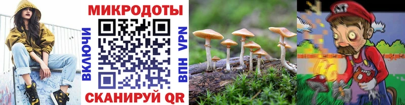 цена   Западная Двина  Галлюциногенные грибы прущие грибы 